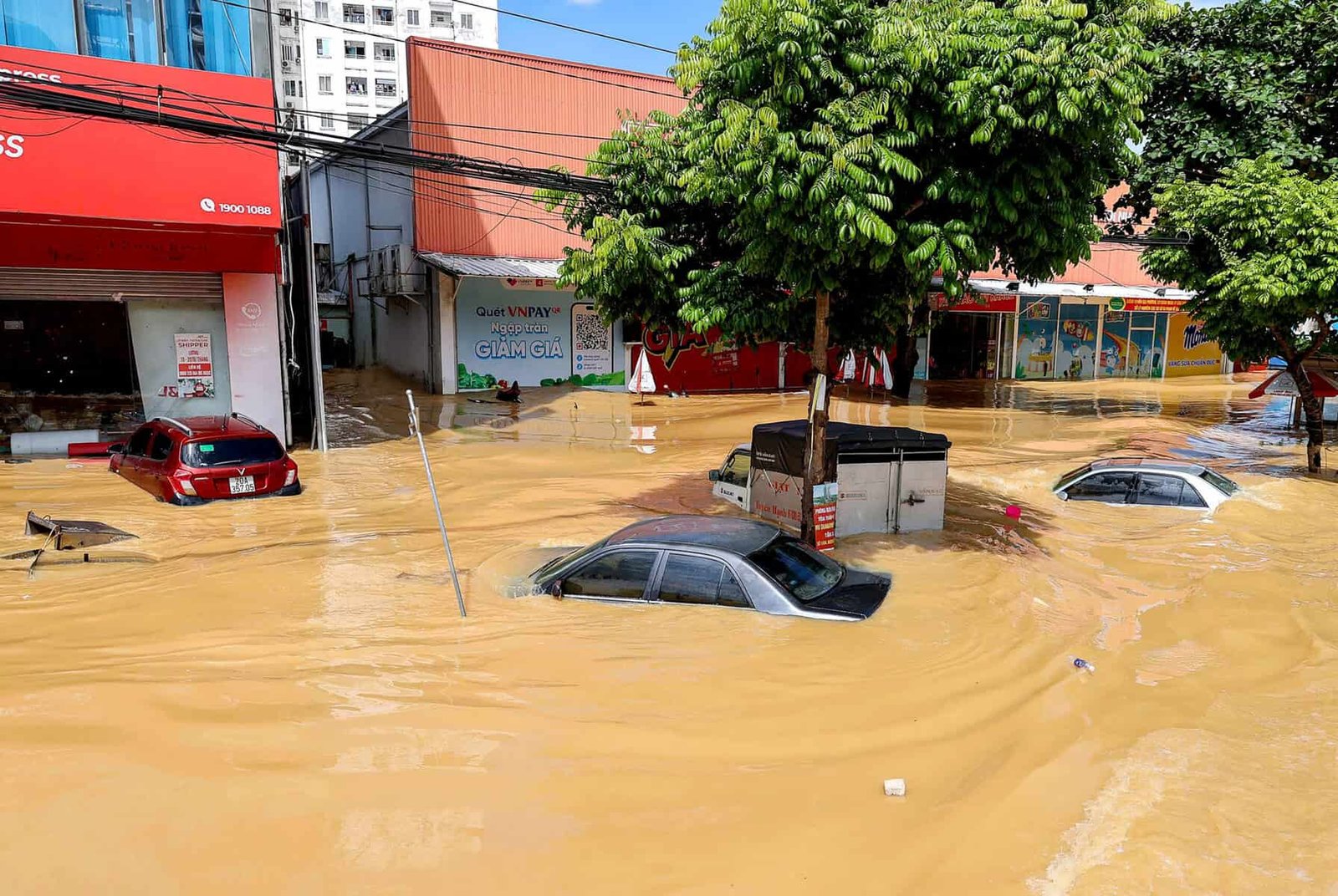 Vietnam Flood Hell: Citizens Beg World for Lifesaving Aid
