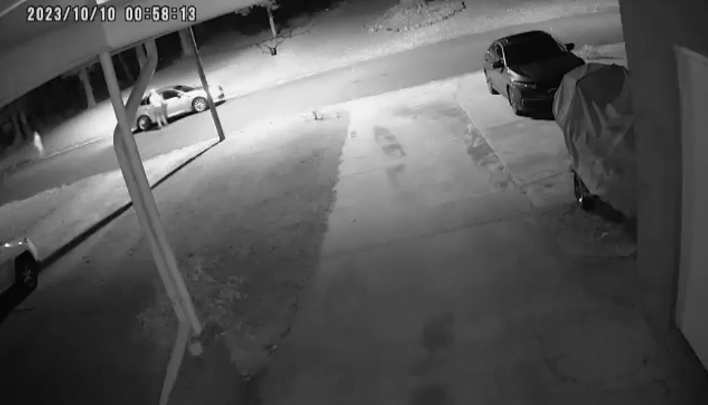 Liverpool Teen’s Doorbell Horror: Shot in Back & Leg—Fights for Life