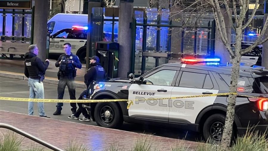 Bellevue Officer Stabbed in Suspected Fake 911 Ambush