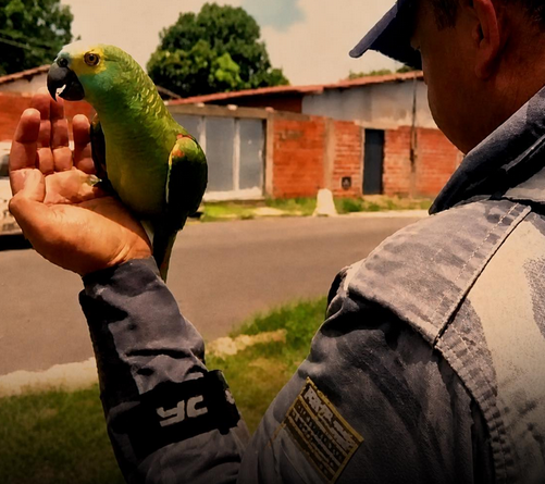 Police Raid Suspected Illegal Hideout Surprised by Unexpected Bird