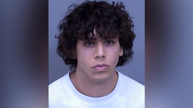 TikTok Influencer Pleads Guilty to Harassing Business Workers in Viral Pranks