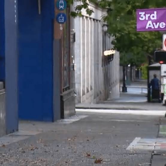 Disturbing Video Captures Woman in Severe Agony on Seattle Sidewalk